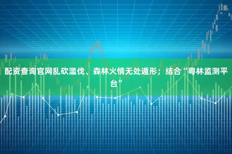 配资查询官网乱砍滥伐、森林火情无处遁形；结合“粤林监测平台”