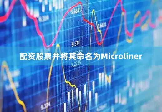 配资股票并将其命名为Microliner